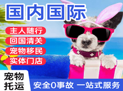 美兰空运公司国际宠物托运 【国